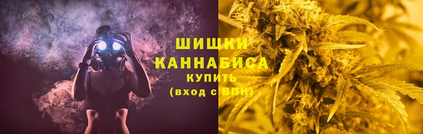 мдпв Бородино