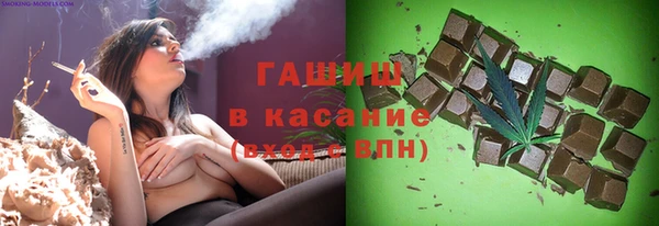 мдпв Бородино