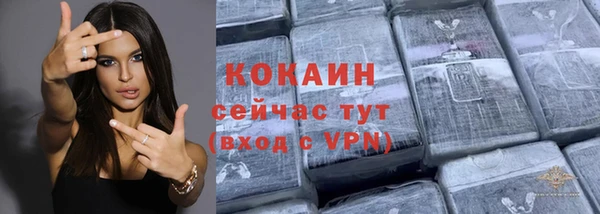 мдпв Бородино