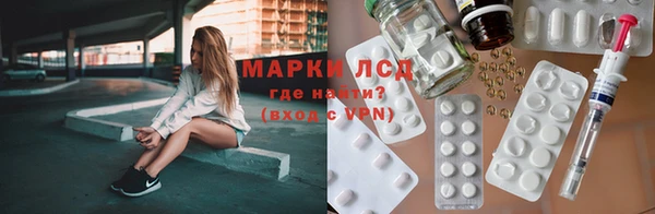 мдпв Бородино