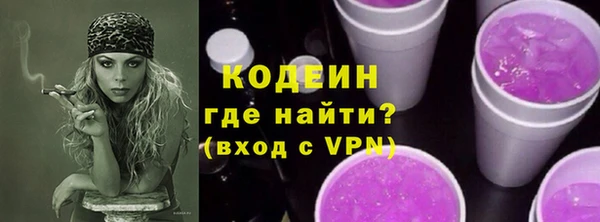 мдпв Бородино
