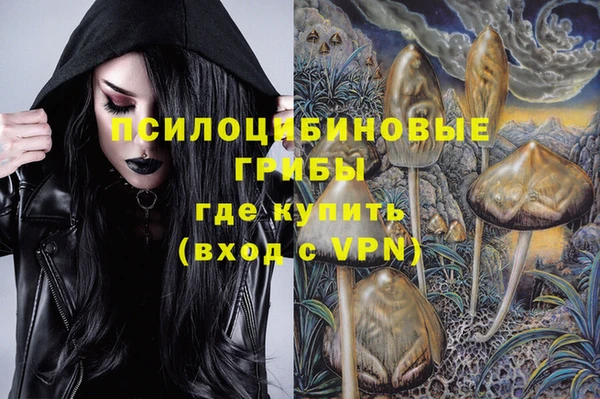 прущие крисы Переславль-Залесский