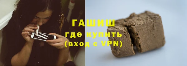 мдпв Бородино