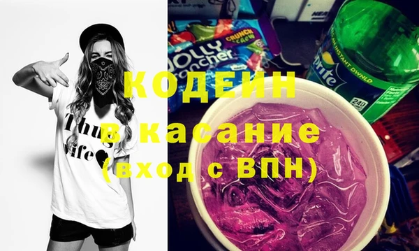 мдпв Бородино