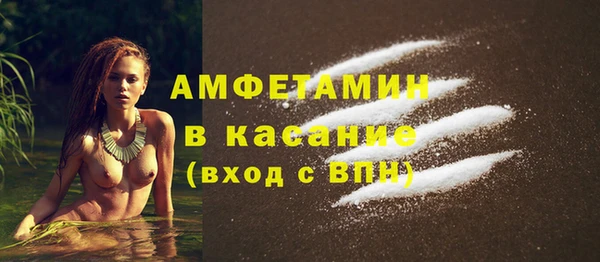 мдпв Бородино
