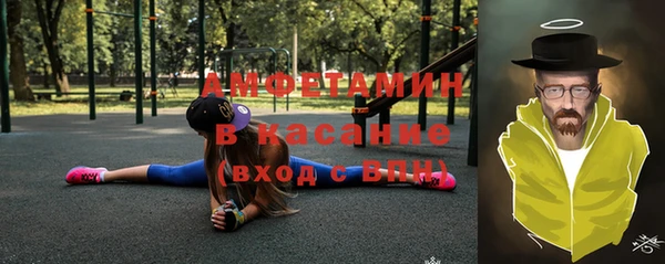 мдпв Бородино