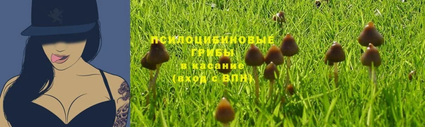 гидропоника Пересвет