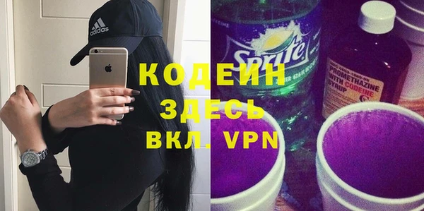мдпв Бородино