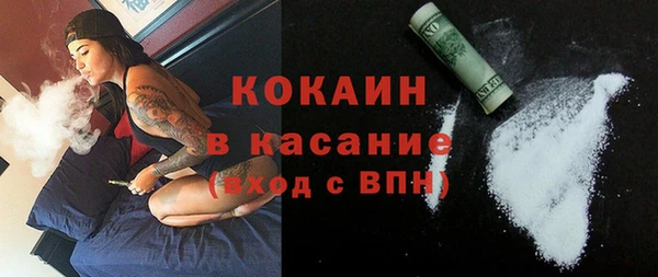 мдпв Бородино